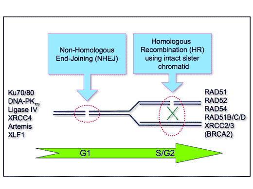 west figure 1